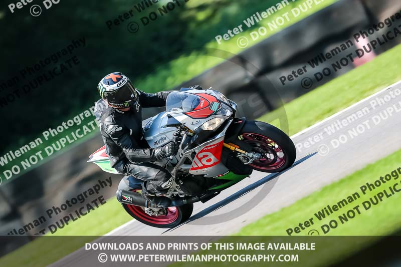 PJ Motorsport Photography 2020;anglesey;brands hatch;cadwell park;croft;donington park;enduro digital images;event digital images;eventdigitalimages;mallory;no limits;oulton park;peter wileman photography;racing digital images;silverstone;snetterton;trackday digital images;trackday photos;vmcc banbury run;welsh 2 day enduro